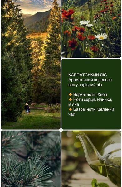Аромасвечка средняя кора &laquo;Хвойный лес&raquo; Карпатский лес