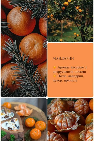 Аромасвеча средняя кора &laquo;Тишина&raquo; Мандарин