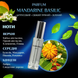 Масляні парфуми Yaroma Oil MANDARINE BASILIC 10ml 216616616 фото 2