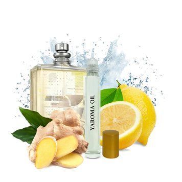 Масляні парфуми Yaroma Oil MOLECULE 01 + GINGER 10ml 32132151111222 фото