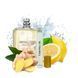 Масляные духи Yaroma Oil MOLECULE 01 + GINGER 10ml 32132151111222 фото 1