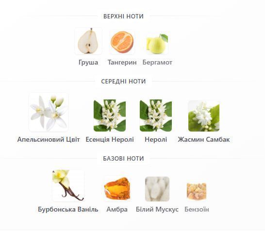 Масляные духи Yaroma Oil PARADOXE 10ml 366456120 фото