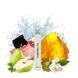 Масляные духи Yaroma Oil PARADOXE 10ml 366456120 фото 1