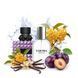 Парфуми Yaroma Parfum DONNA MELANCHOLIA Жіночі 44515112657 фото 1